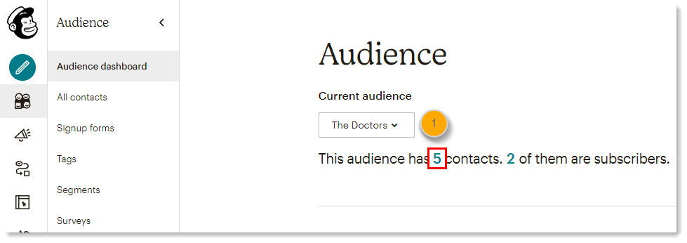 Mailchimp_Audience_Step1.png